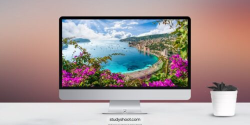 جامعة سانت إتيان