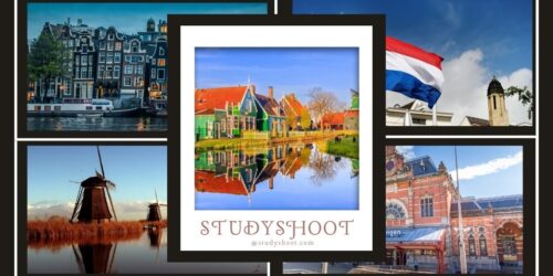 جامعة فريجي أمستردام