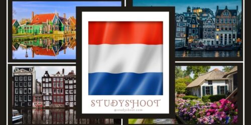 جامعة نوتردام