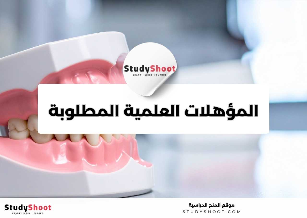 ما المهارات العملية والشخصية التي يحتاجها طالب تخصص طب الأسنان؟