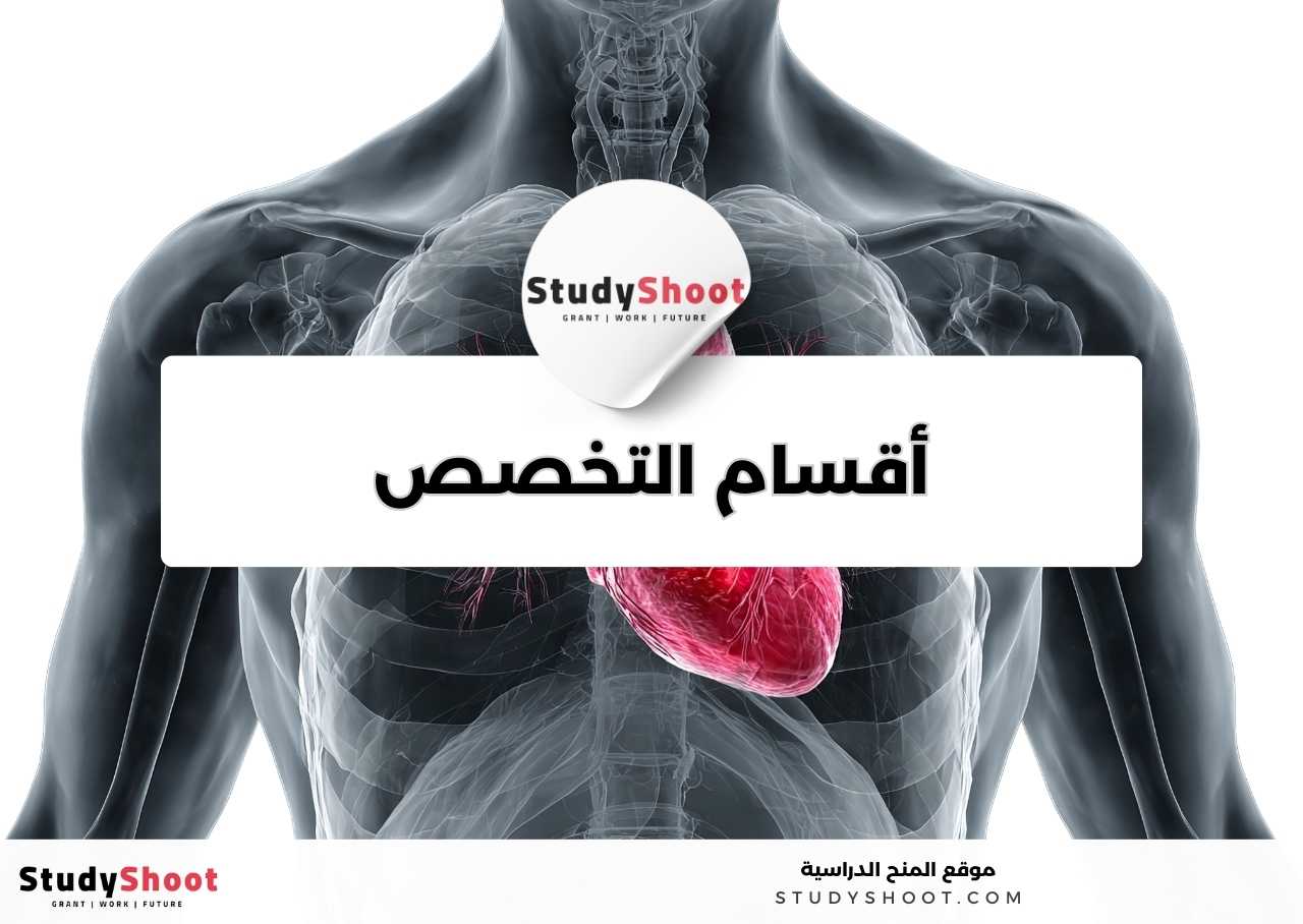 ما المهارات العملية والشخصية التي يحتاجها طالب تخصص الطب البشري؟