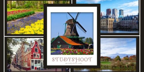 جامعة إيراسموس