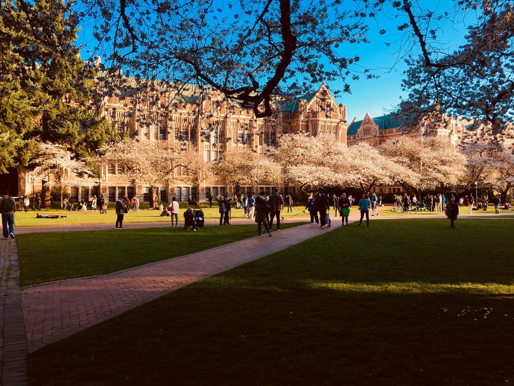 ستودي شووت التعليم ماجستير تقويم الأسنان