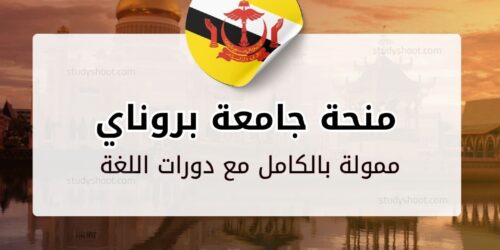 منحة جامعة بروناي