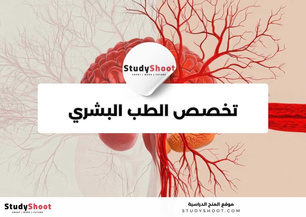 تخصص الطب البشري