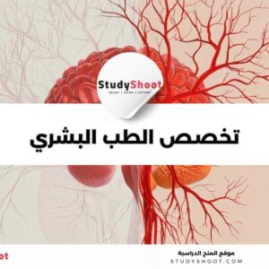 تخصص الطب البشري