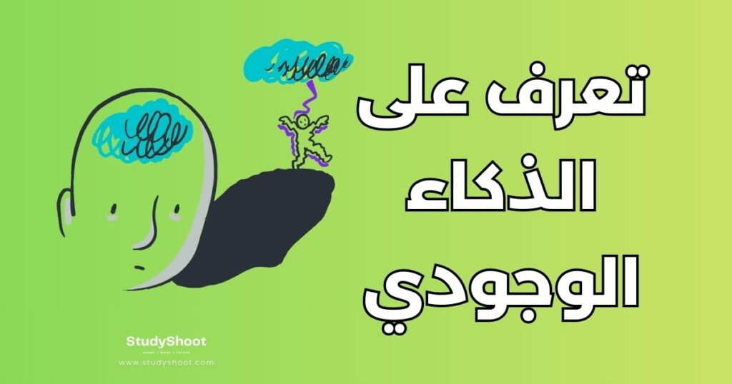 الذكاء الوجودي