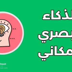 الذكاء البصري المكاني