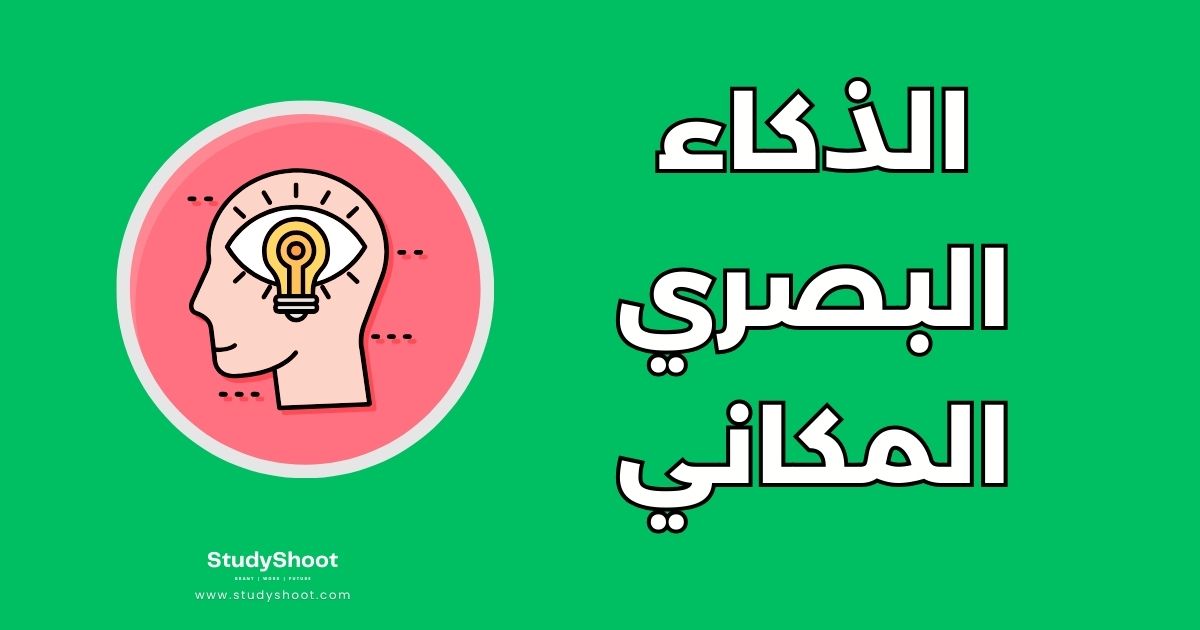 7 حقائق جوهرية عن الذكاء البصري المكاني وكيفية تطويره