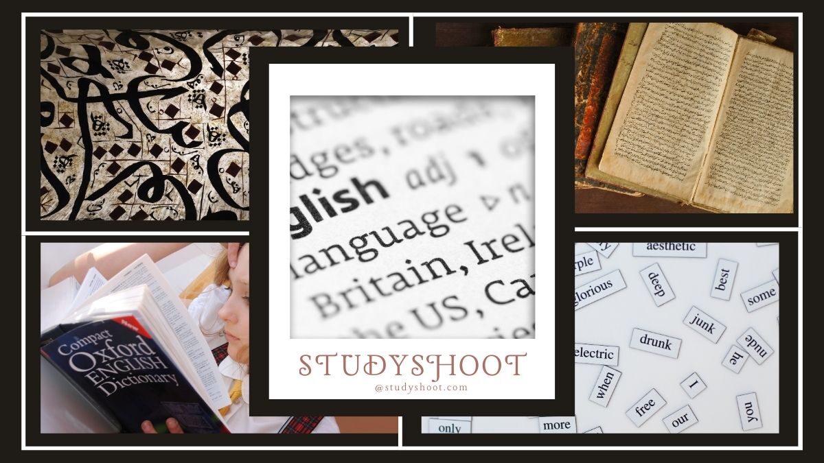 أفضل قاموس عربي انجليزي