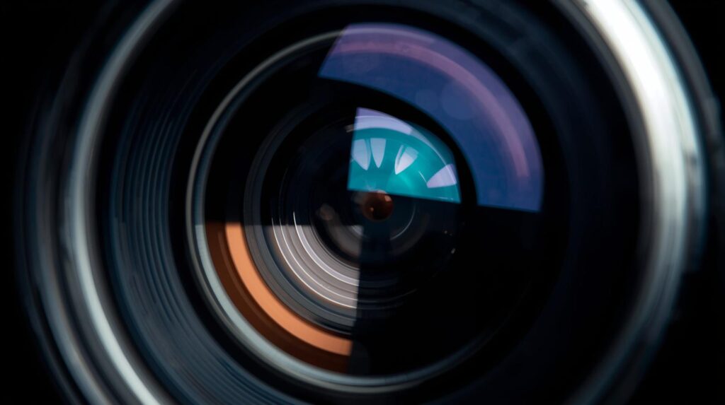 ستودي شووت التعليم تخصصات العلوم الطبية