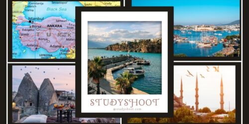 جامعة استينيا