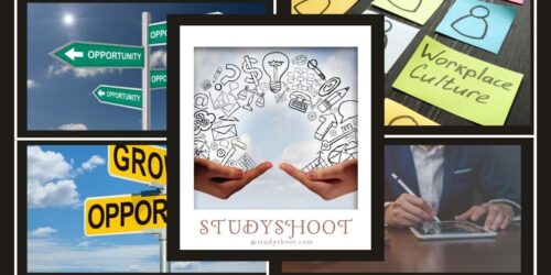 كيف أحصل على فرص التبادل الثقافي