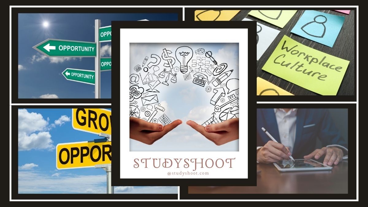 كيف أحصل على فرص التبادل الثقافي