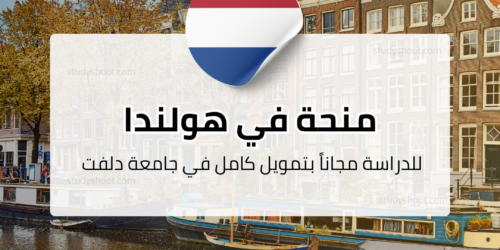 منحة جامعة دلفت