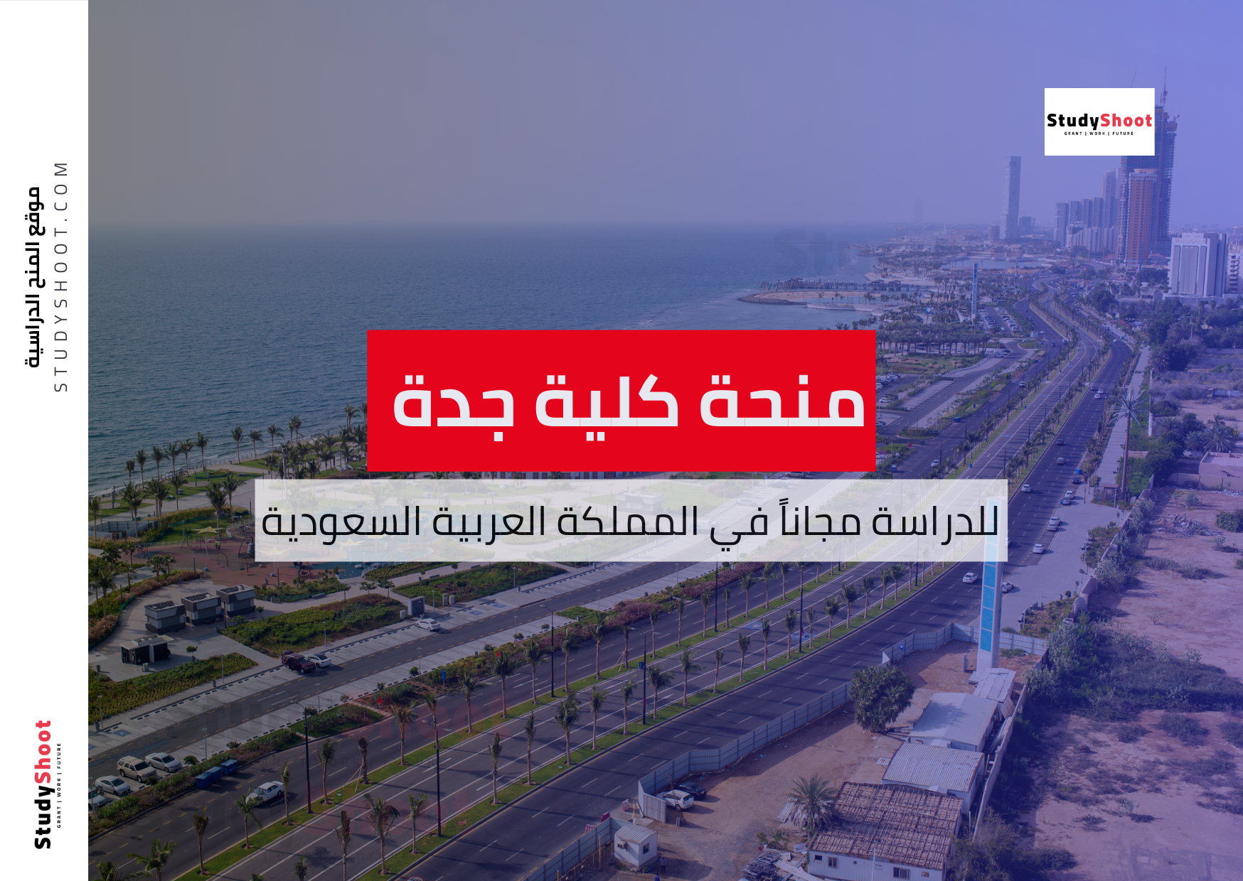 منحة كلية جدة العالمية