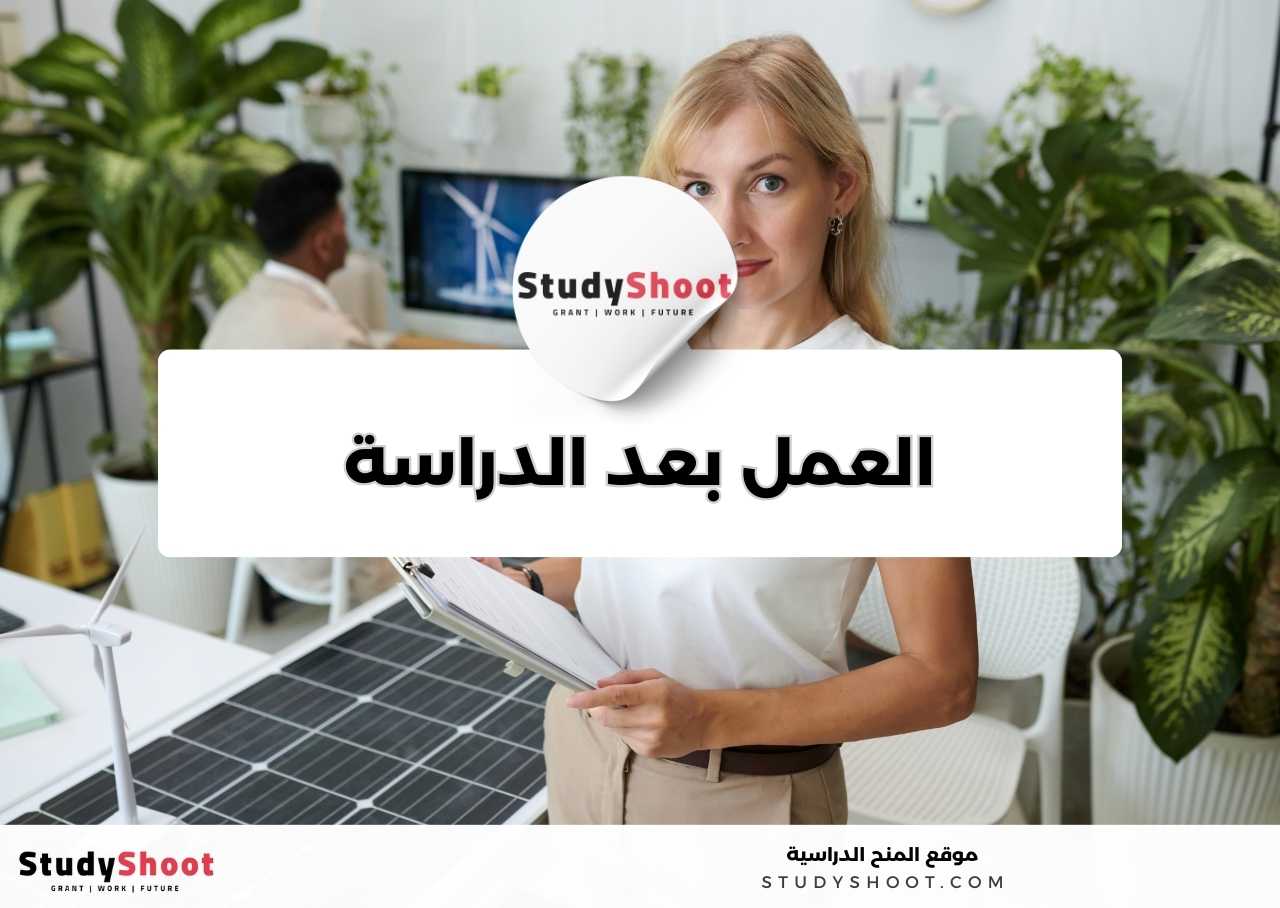 في أي مجالات يمكن العمل بعد دراسة تخصص هندسة الطاقة المتجددة؟