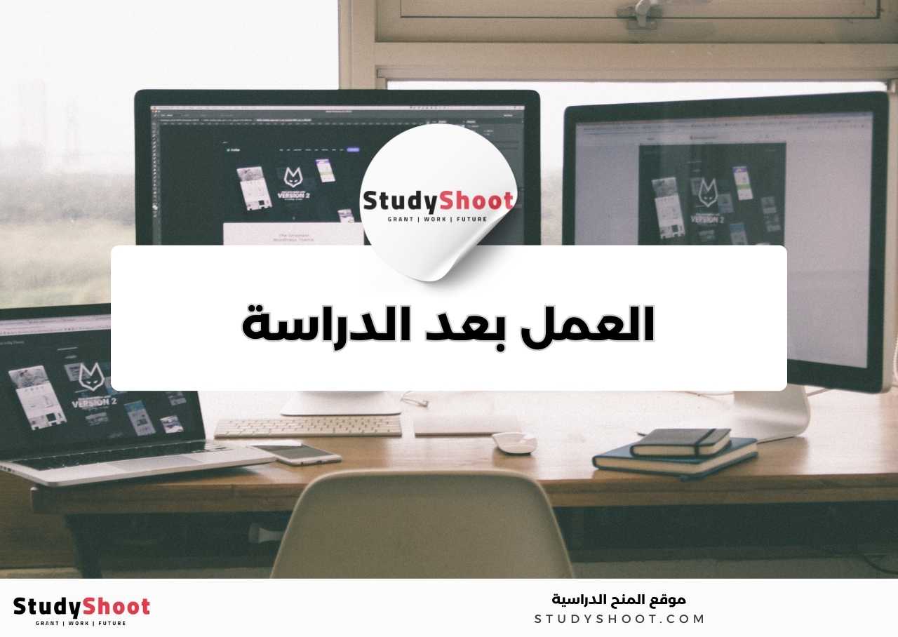 في أي مجالات يمكن العمل بعد دراسة تخصص نظم المعلومات الإدارية؟