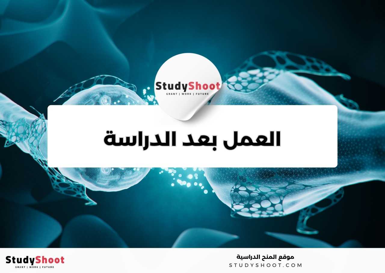 في أي مجالات يمكن العمل بعد دراسة تخصص علم النانو تكنولوجي؟