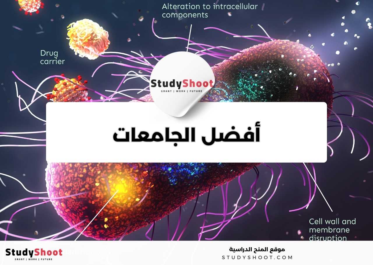 ما أفضل الجامعات لدراسة تخصص علم النانو تكنولوجي؟