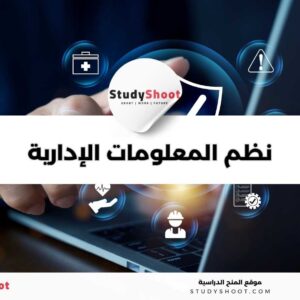 تخصص نظم المعلومات الإدارية