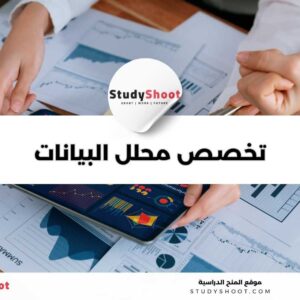 تخصص تحليل البيانات