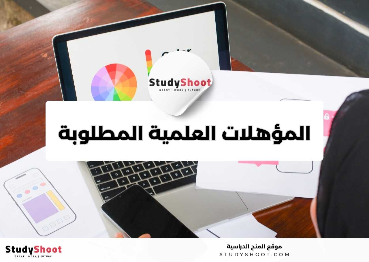 ما المهارات العملية والشخصية التي يحتاجها طالب تخصص نظم المعلومات الإدارية؟