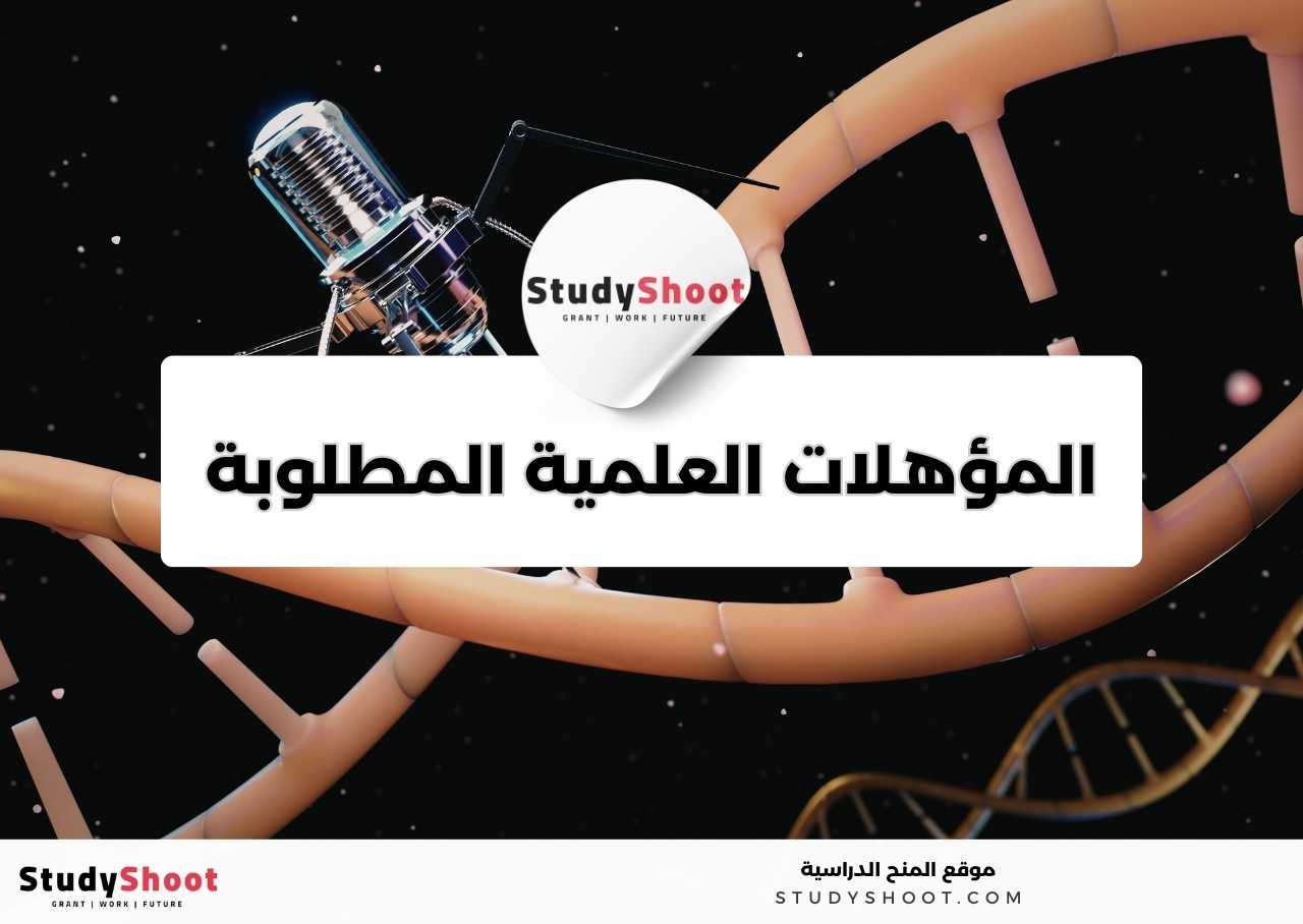 ما المهارات العملية والشخصية التي يحتاجها طالب تخصص علم النانو تكنولوجي؟