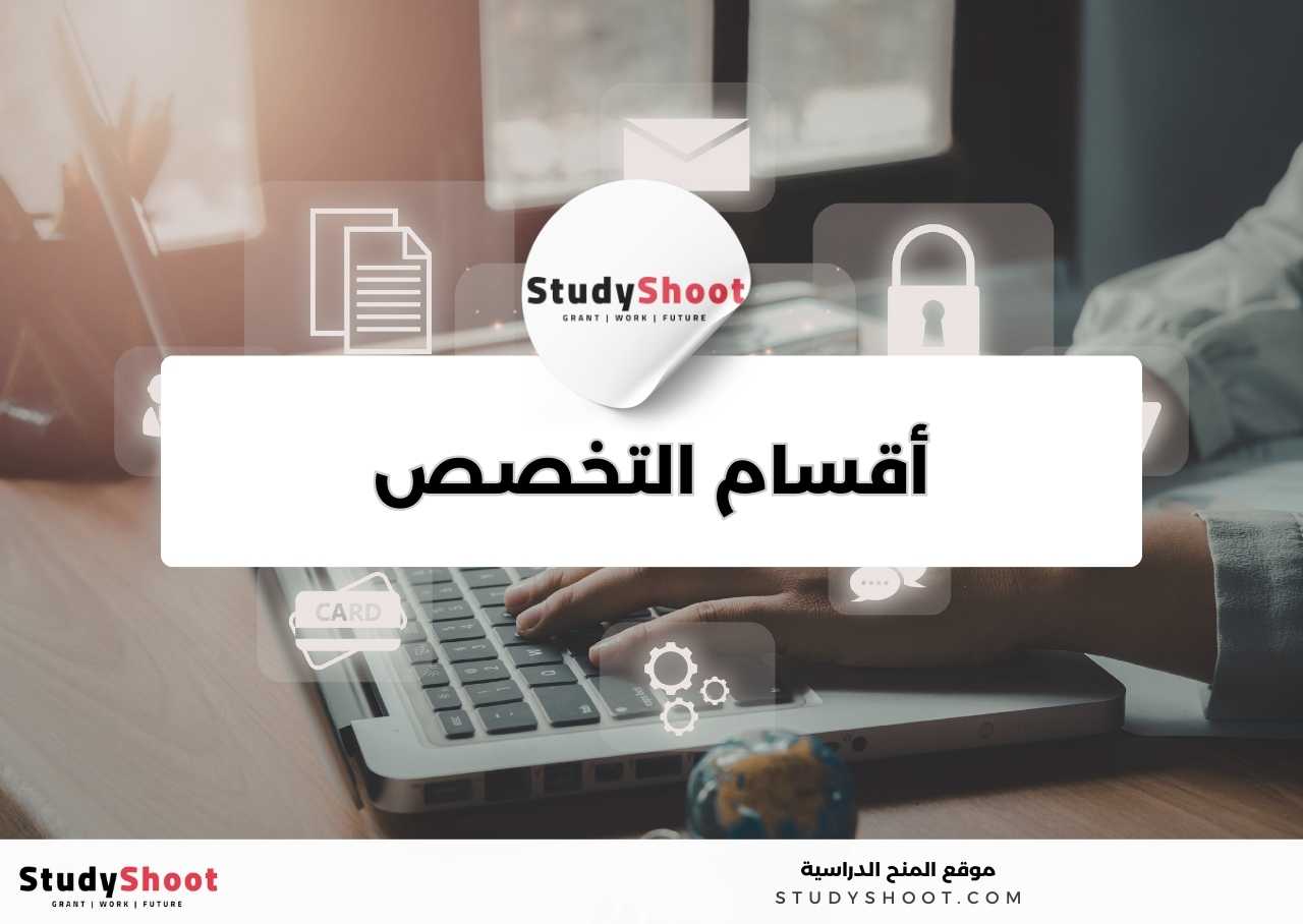 كم عدد وأسماء أقسام تخصص نظم المعلومات الإدارية؟