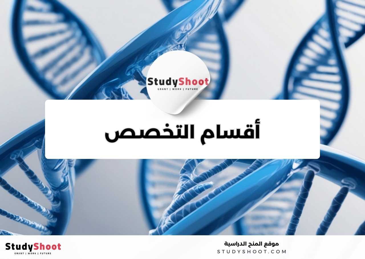 كم عدد وأسماء أقسام تخصص علم النانو تكنولوجي؟