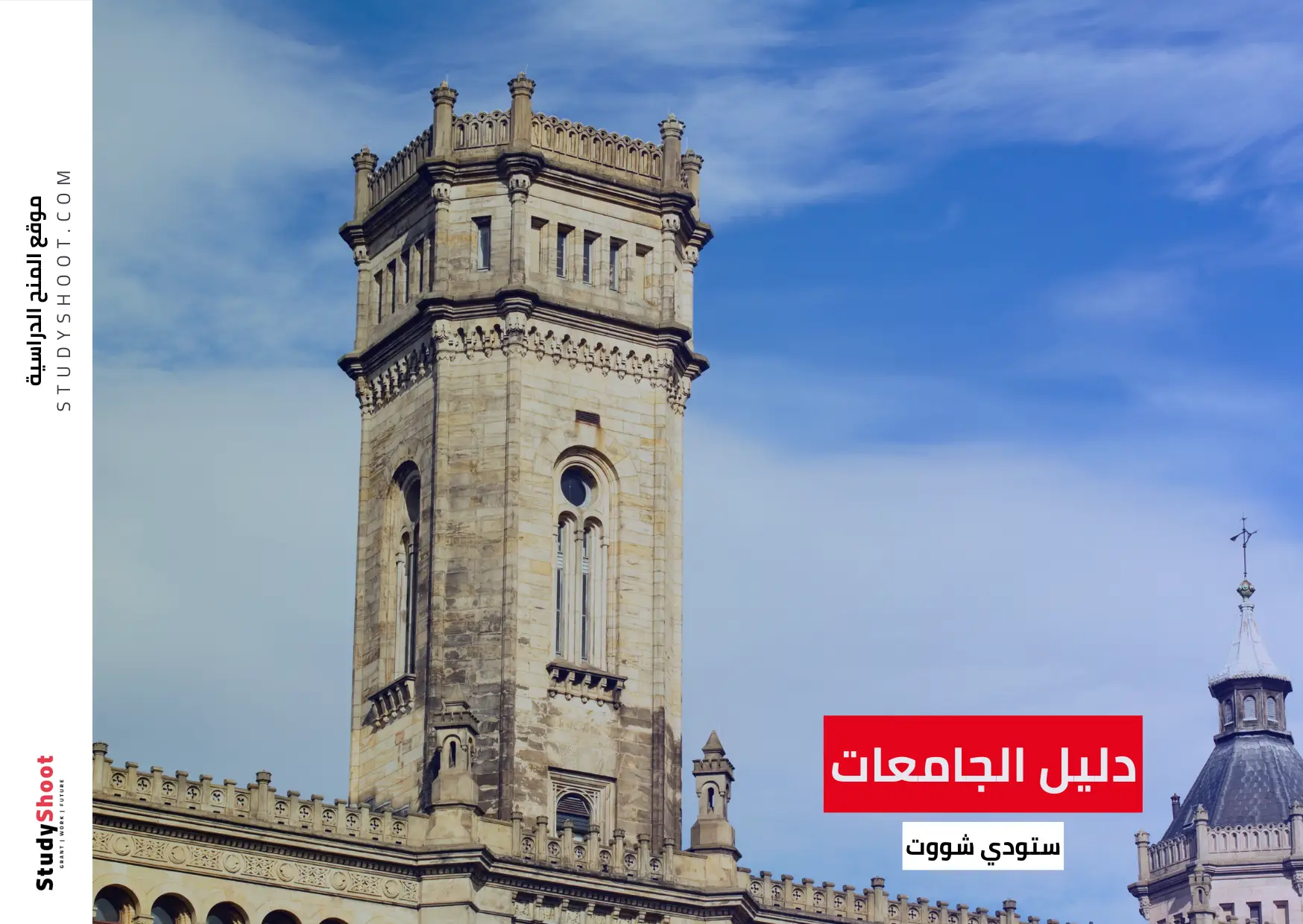 مجالات التدريس