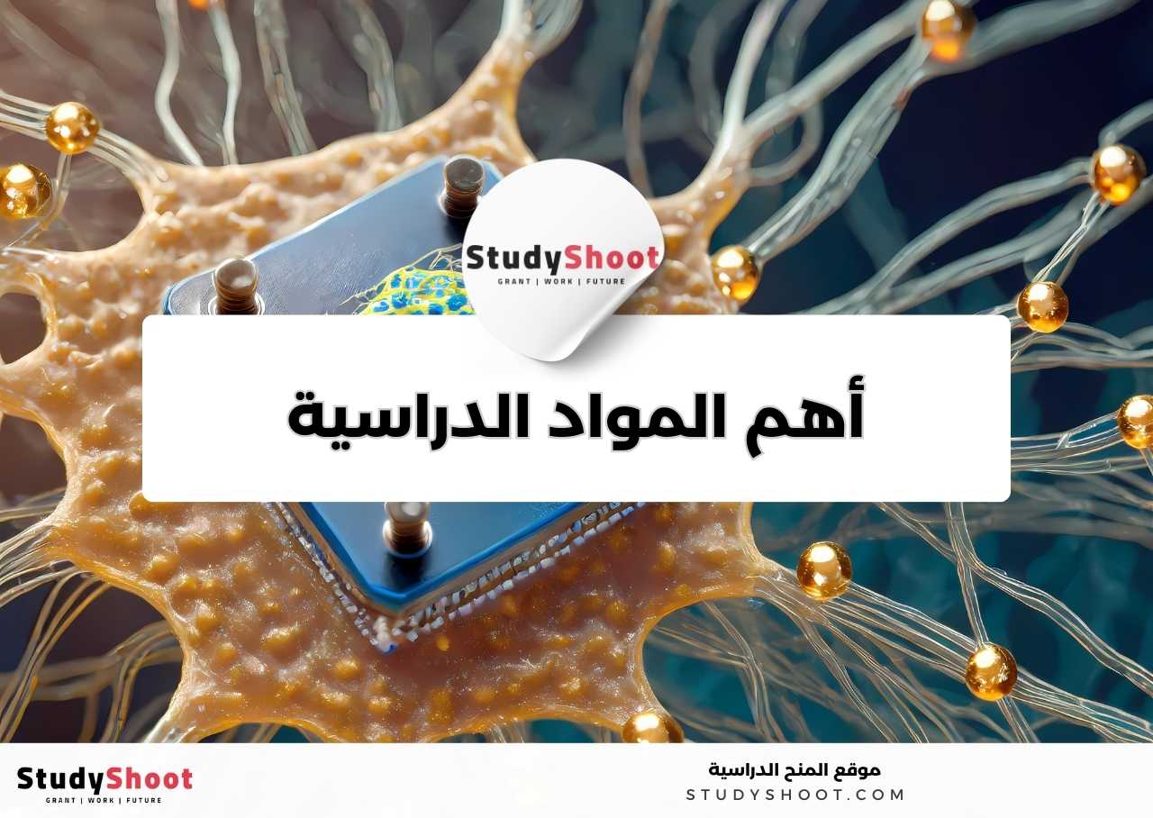 ما أهم المواد الدراسية في تخصص علم النانو تكنولوجي؟