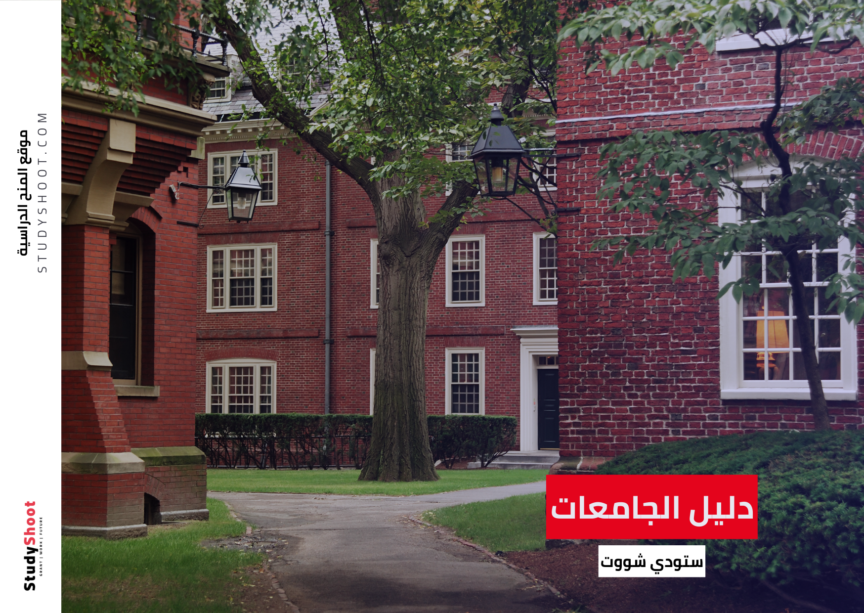 تكاليف الدراسة في جامعة هارفارد