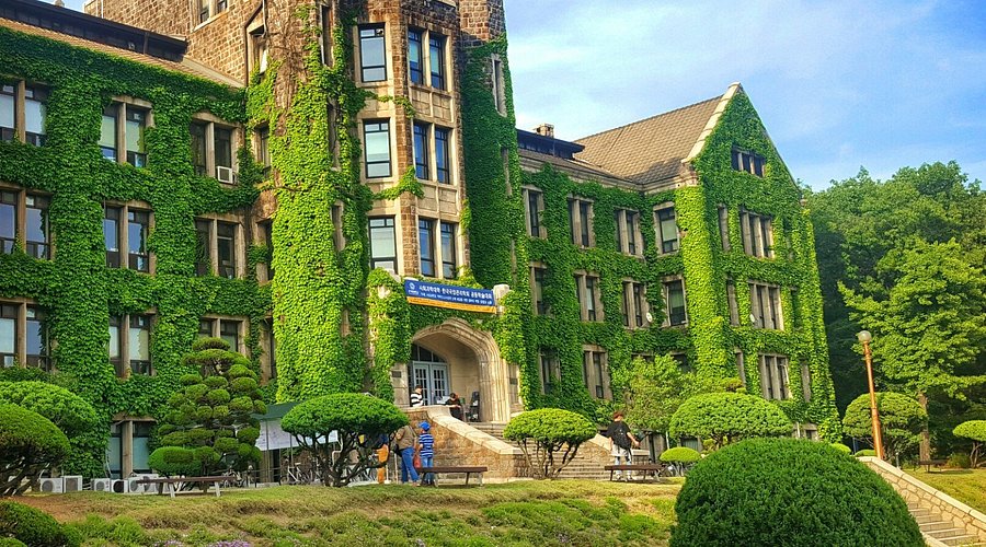تخصصات جامعة يونسي