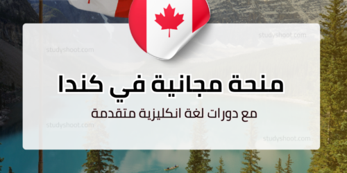 منحة جامعة ماكيوان