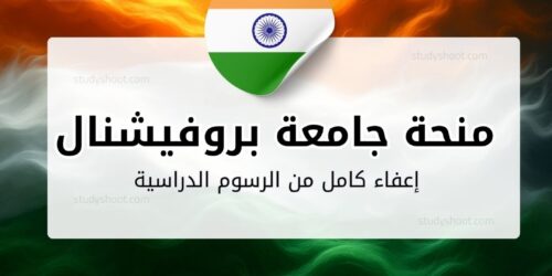 منحة جامعة بروفيشنال في الهند