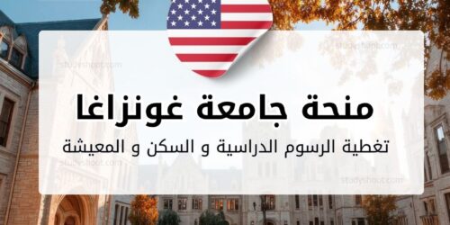 منحة جامعة غونزاغا