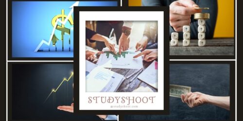 ما هو أكثر تخصص مربح؟