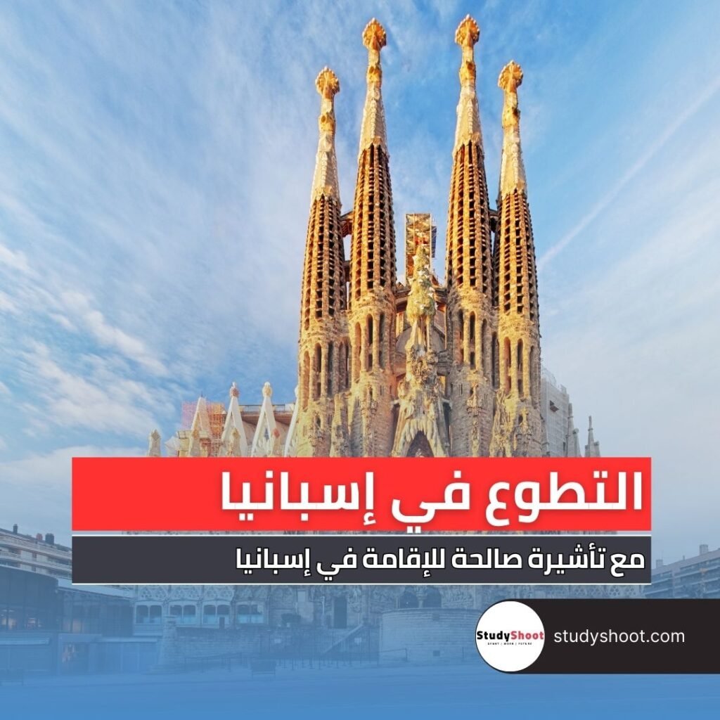 تطوع في إسبانيا