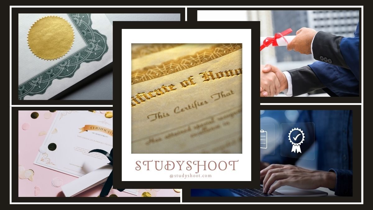 أنواع الشهادات