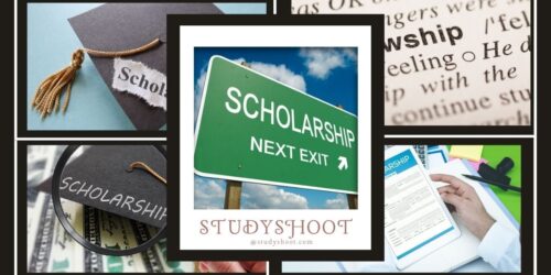 ما هو الفرق بين المنحة والزمالة؟