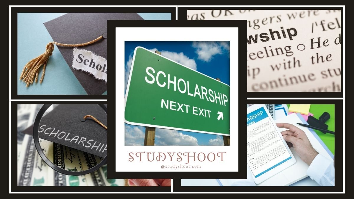 ما هو الفرق بين المنحة والزمالة؟