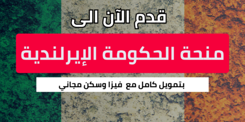 منحة الحكومة الإيرلندية