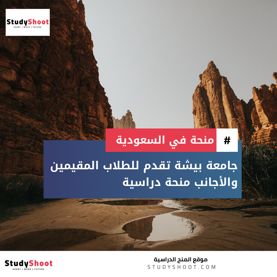منحة جامعة بيشة