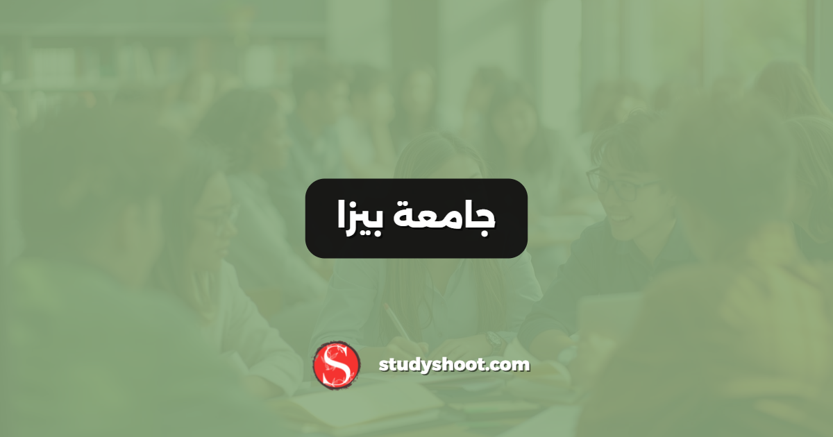 جامعة بيزا