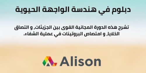 دورة دبلوم في هندسة الواجهة الحيوية