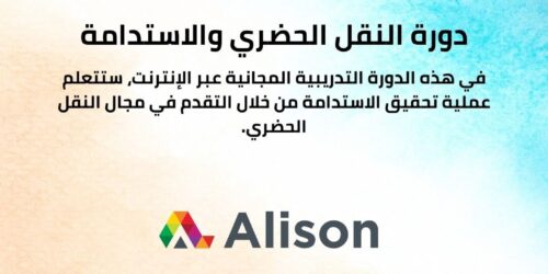 دورة النقل الحضري والاستدامة