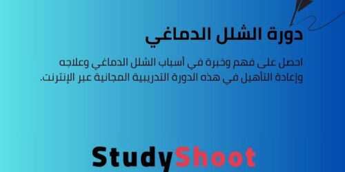 دورة الشلل الدماغي: الأسباب والعلاج والتأهيل