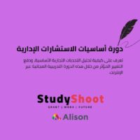 دورة أساسيات الاستشارات الإدارية