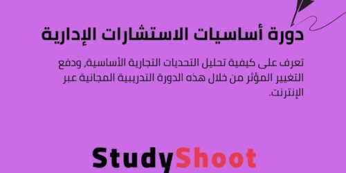 دورة أساسيات الاستشارات الإدارية